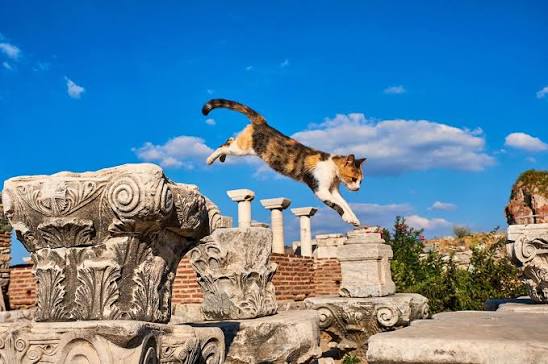 Feline long jump, gold medal Calico cat leaping between carved Corinthian capitals under a deep blue sky near Ephesus
