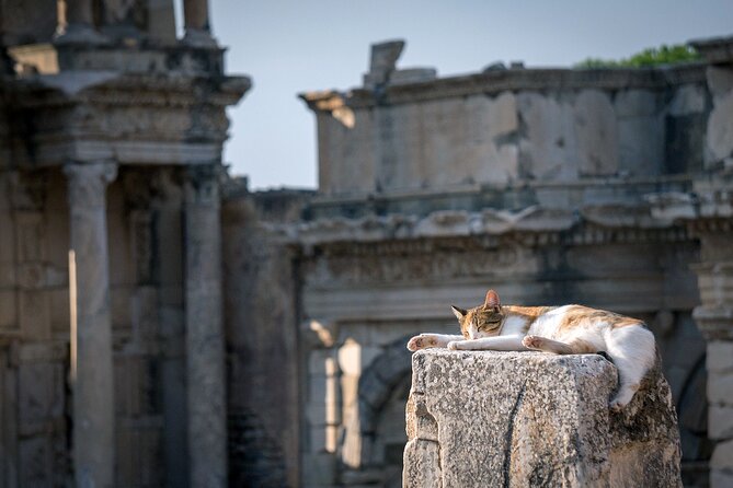 Executive suite, top floor Calico cat napping on top of a stone pillar in Ephesus