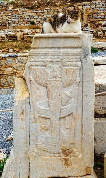 Cat resting on top of a carved marble relief pedestal in Ephesus